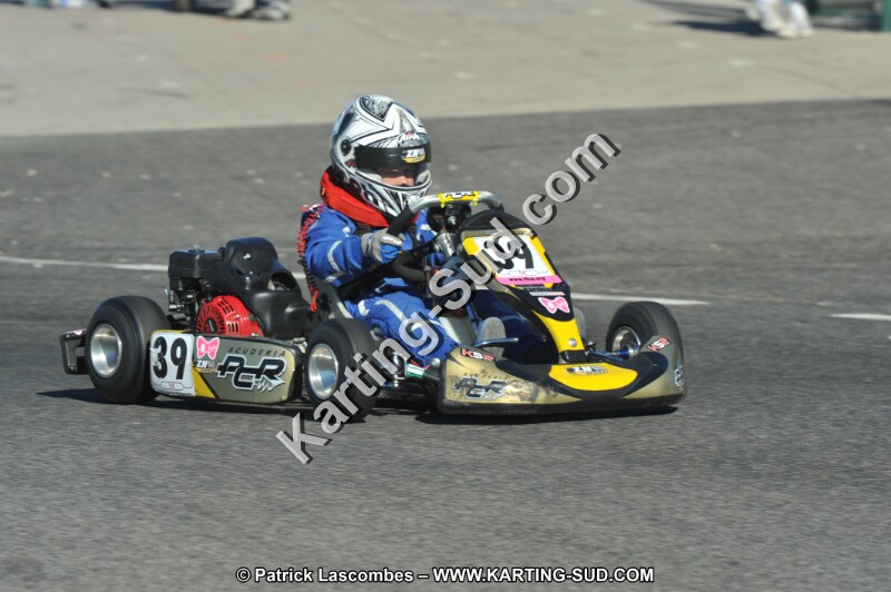 DSC (2458).JPG